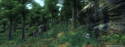 The Elder Scrolls IV: Oblivion Game of the Year Edition GOTY - obrazek 5