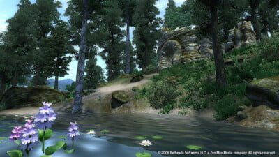 The Elder Scrolls IV: Oblivion Game of the Year Edition GOTY - obrazek 2