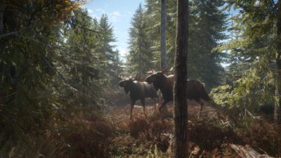 theHunter: Call of the Wild - obrazek 5