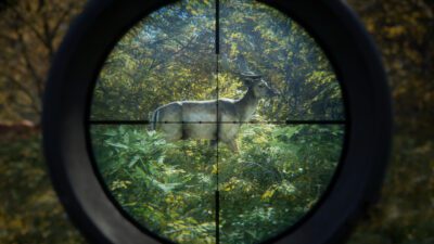 theHunter: Call of the Wild - obrazek 4
