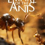 Empire of the Ants