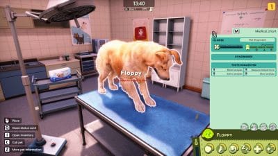 Animal Shelter 2 (PC) Klucz Steam - obrazek 5