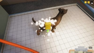 Animal Shelter (PC) Klucz Steam - obrazek 2