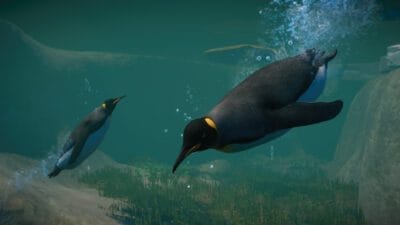 Planet Zoo - Pakiet 5 DLC (PC) Klucz Steam - obrazek 3