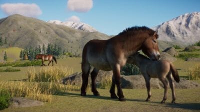 Planet Zoo - Pakiet Ochrona Przyrody / Conservation Pack DLC (PC) Klucz Steam - obrazek 5