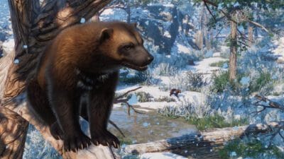 Planet Zoo - Eurasia Animal Pack PL DLC (PC) Klucz Steam - obrazek 4