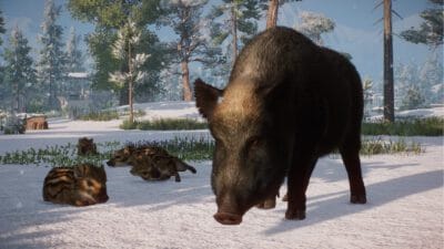 Planet Zoo - Eurasia Animal Pack PL DLC (PC) Klucz Steam - obrazek 5