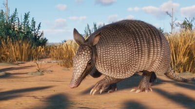 Planet Zoo - Pakiet Zwierząt Stepowych / Grasslands Animal Pack PL DLC (PC) Klucz Steam - obrazek 2