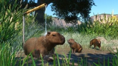 Planet Zoo - Pakiet Zwierząt z Mokradeł / Wetlands Animal Pack PL DLC (PC) Klucz Steam - obrazek 5