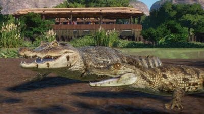 Planet Zoo - Pakiet Zwierząt z Mokradeł / Wetlands Animal Pack PL DLC (PC) Klucz Steam - obrazek 4