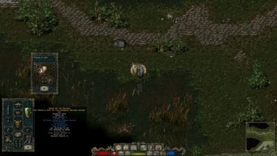 Divine Divinity (PC) Klucz Steam - obrazek 5