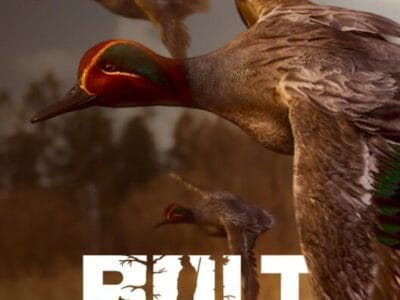 BULT: Hunting simulator (PC) Klucz Steam