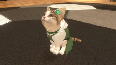 Little Friends: Dogs and Cats Kod Cyfrowy Nintendo Switch - obrazek 3