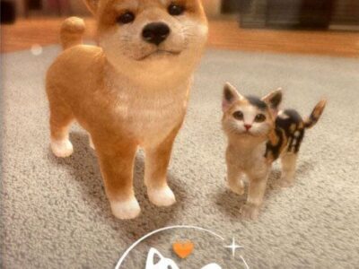 Little Friends: Dogs and Cats Kod Cyfrowy Nintendo Switch