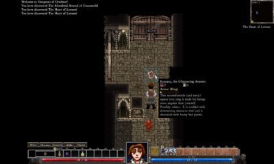 Dungeons of Dredmor PC Klucz Cyfrowy Steam - obrazek 4