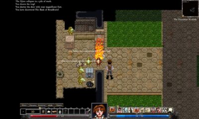 Dungeons of Dredmor PC Klucz Cyfrowy Steam - obrazek 3