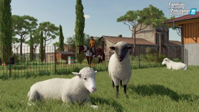 Farming Simulator 22: Premium Edition PC Klucz Cyfrowy Steam - obrazek 3