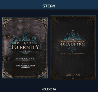 Pillars of Eternity Collection Bundle (Obsidian)