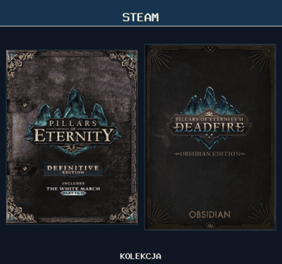 Pillars of Eternity Collection Bundle (Obsidian) PC Klucz Cyfrowy Steam – pakiet